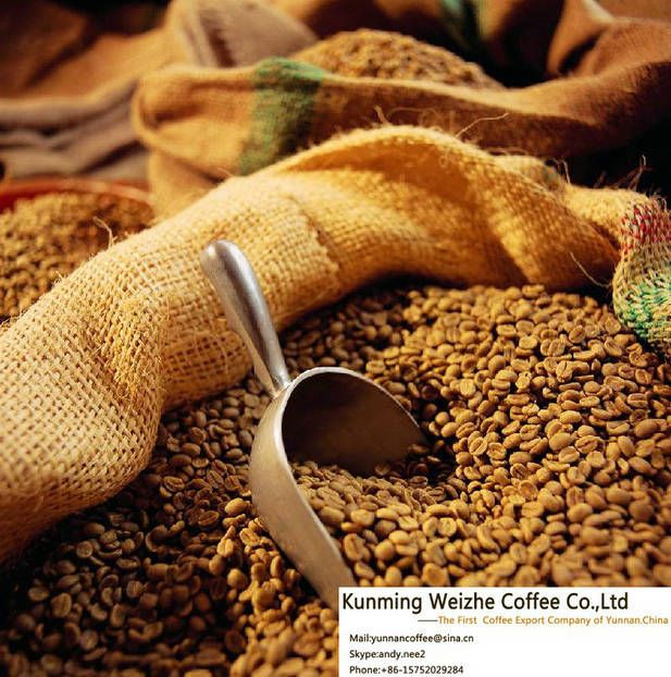 Arabica Coffee Beans, Robusta Coffee Beans, Coffee Beans