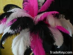 Wedding Decoration Ostrich Feathers