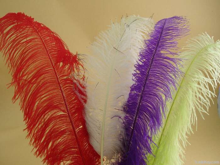 wedding decoration ostrich feathers, party decoration ostrich feathers