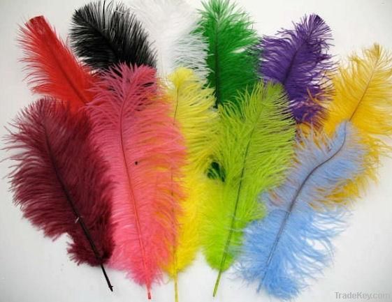 wedding decoration ostrich feathers, party decoration ostrich feathers