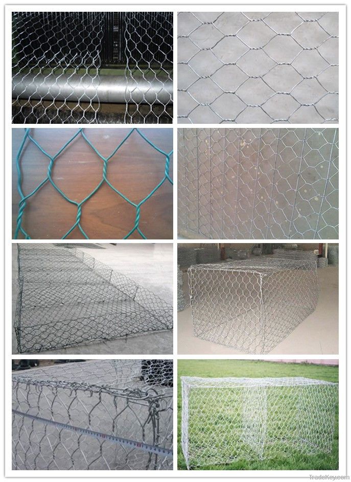 gabion/gabion box/gabion baskets/gabion mesh (15years, ISO9001)