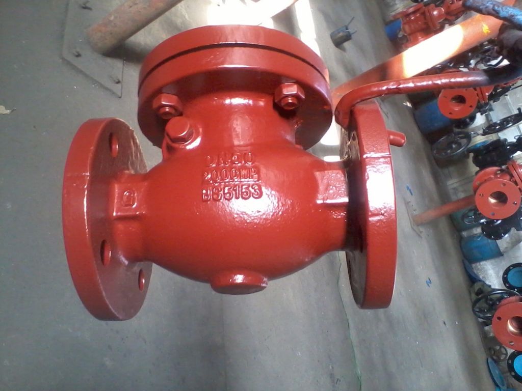 ANSI/BS/DIN Swing check valve/non return valve