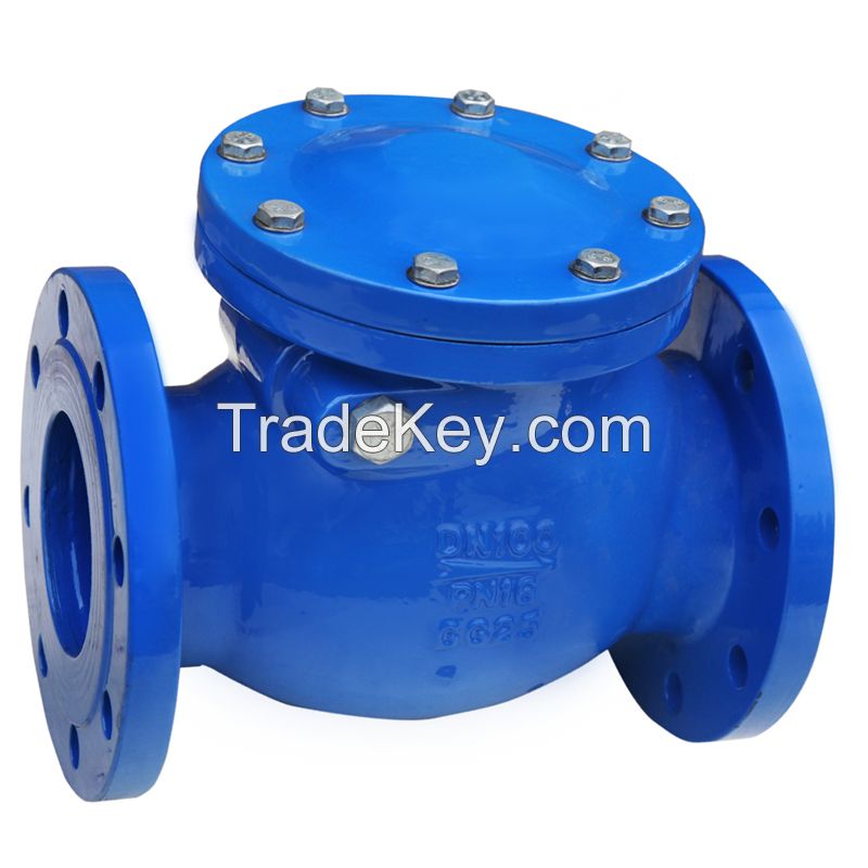 Standard Cast Iron Swing Check Valve With Weight Lever