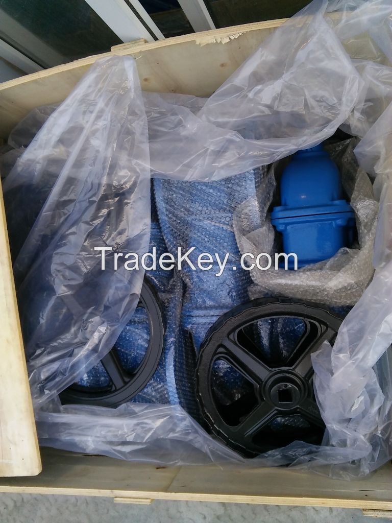 DIN 3202/DIN3352 F4/F5 resilient gate valve/sockent gate valve