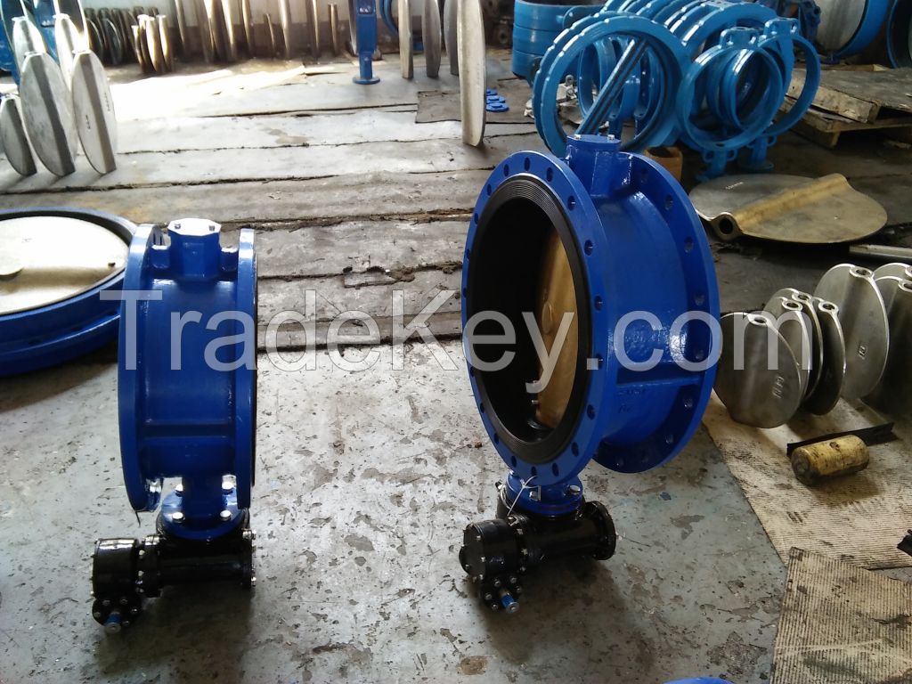 Worm gear operated DN50-DN2000 Cast Iron double flange butterfly valve