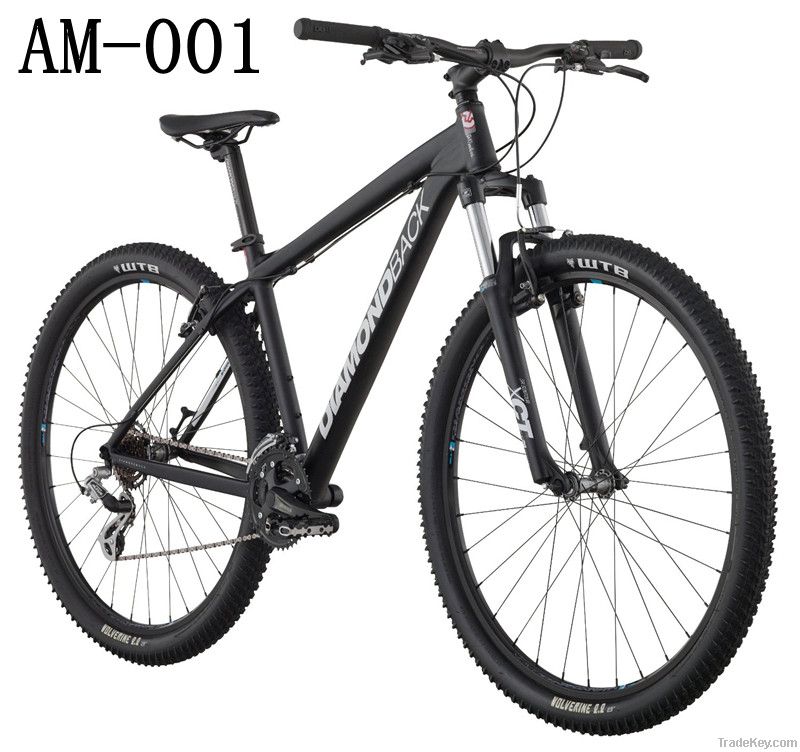 AM-001- 29-Inch Wheels Mountain Bike