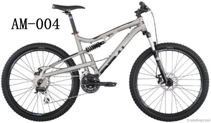 AM-004- 20-Inch Mountain Bike-Titanium