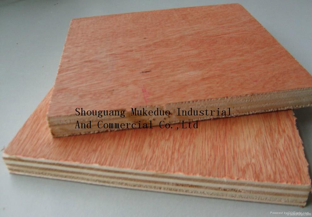 Bintangor plywood