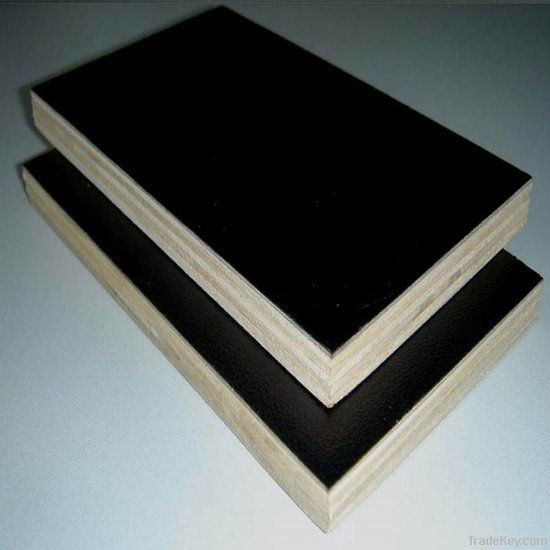 high quality film faced plywood