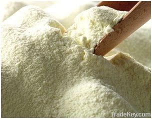 Skimmed Milk Powder