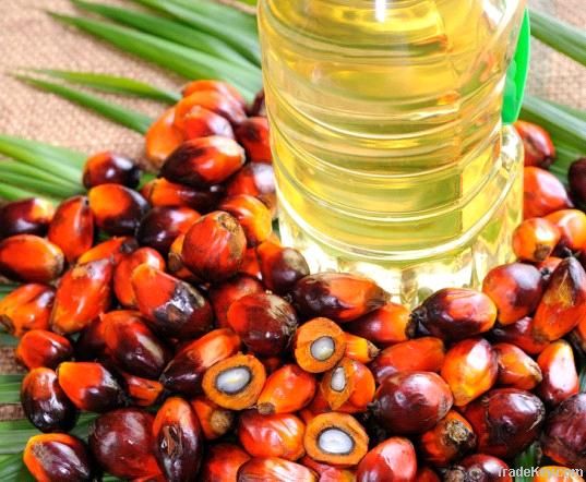 Palm Oil CP8, CP10