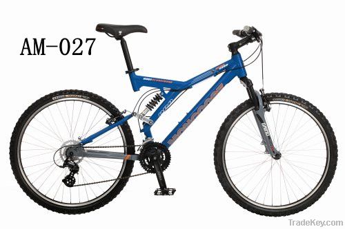 Dual Suspension Mountain Bike