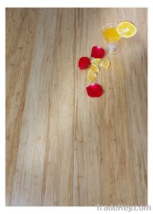 bamboo-indoor flooring