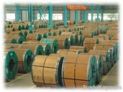 Stainless Steel Coil