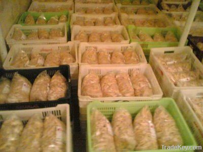 Frozen chicken and chicken parts