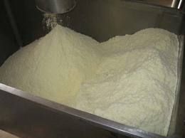 Cream Milk Powder