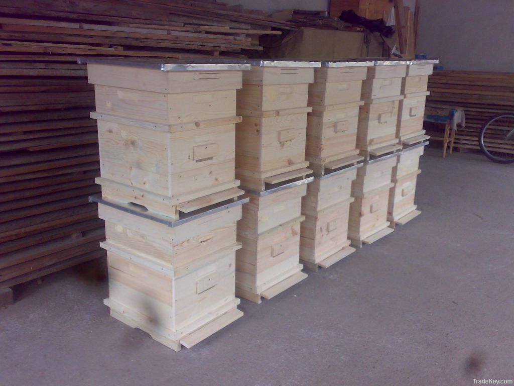 Beehives and frames