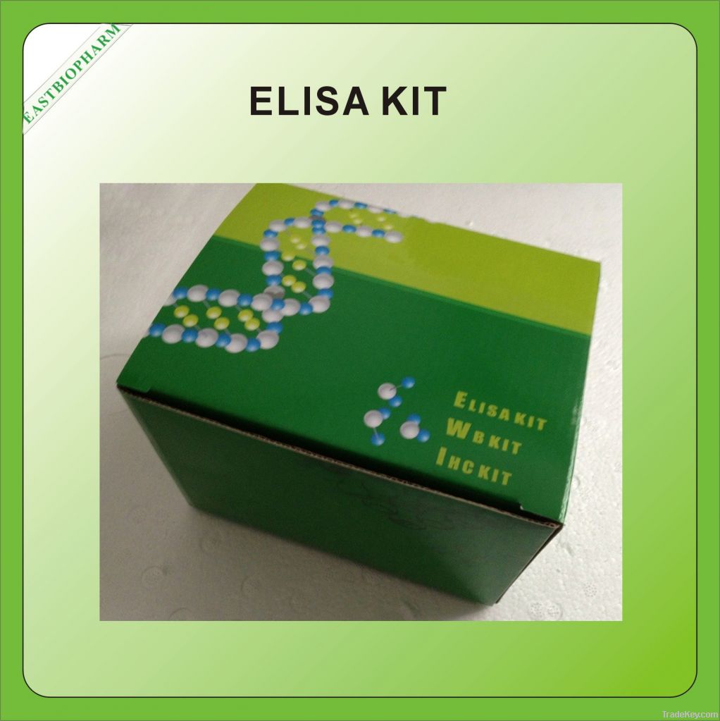 Human S100 Calcium Binding Protein A7(S100A7)ELISA Kit