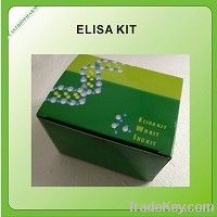 Human Cyclooxygenase-1(COX-1)ELISA Kit