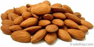 Almond Nuts