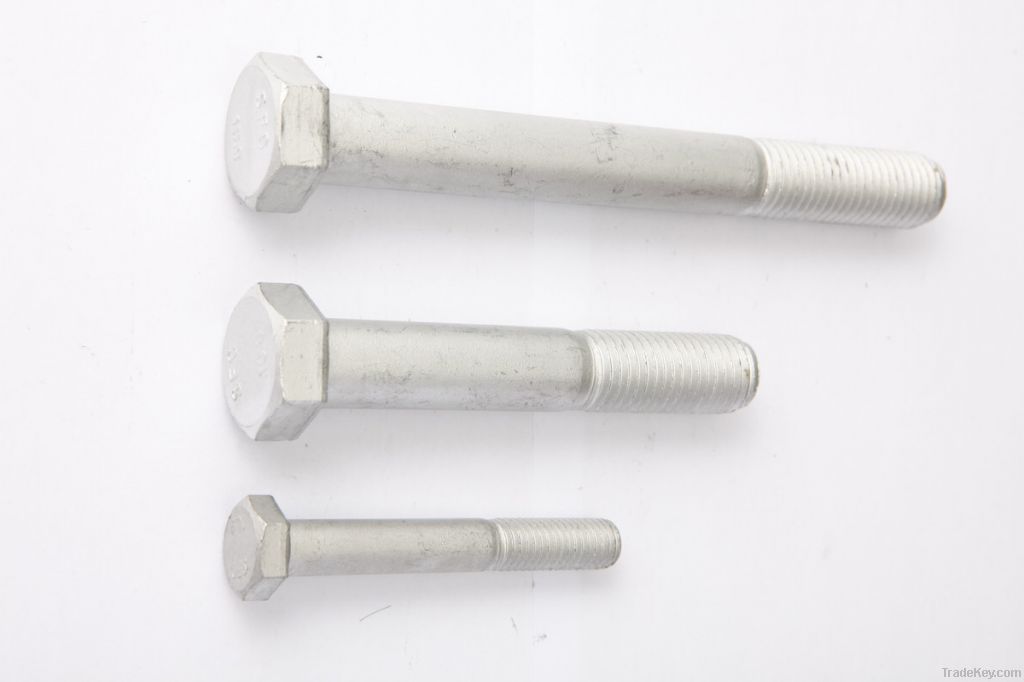 some types screws