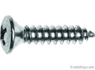 DIN7983 Cross recessed raised countersunk head tapping screws