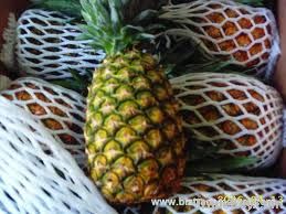 delicious sweet fresh pineapple with competitive price