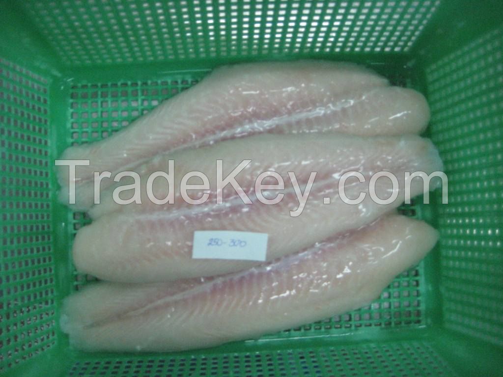 Pangasius Fillet