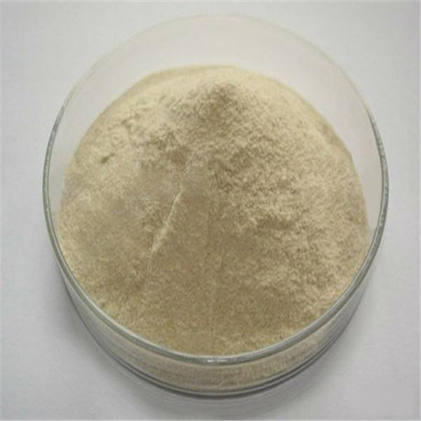 Ammoniumalginate