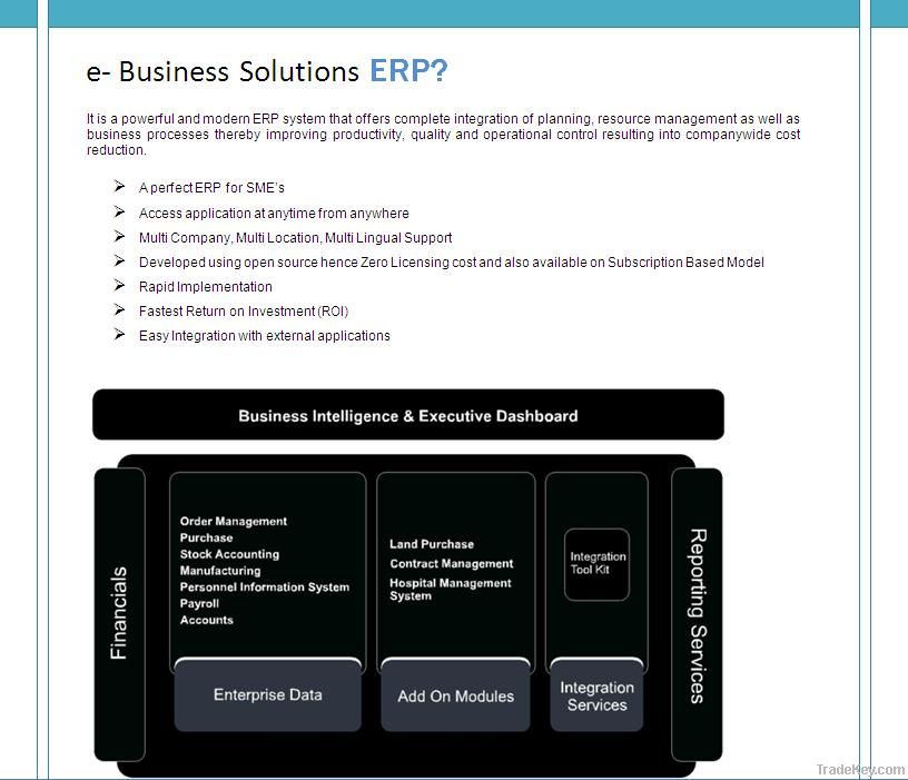 Business ERP Solutions