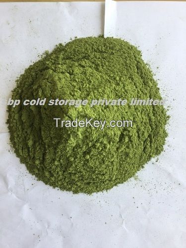 Moringa Leaves, Seed and Powder