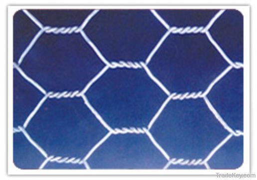 Hexagonal gabion wire mesh