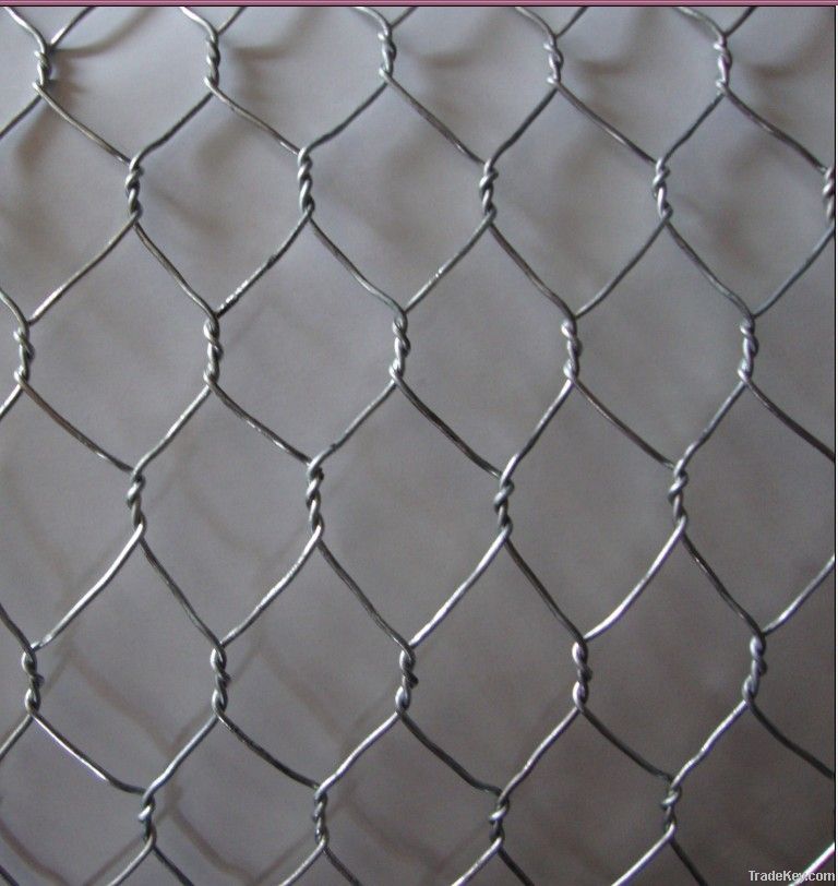 Galvanized or PVC Hexanogal Steel Wire