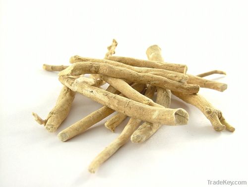 Ashwagandha Extract