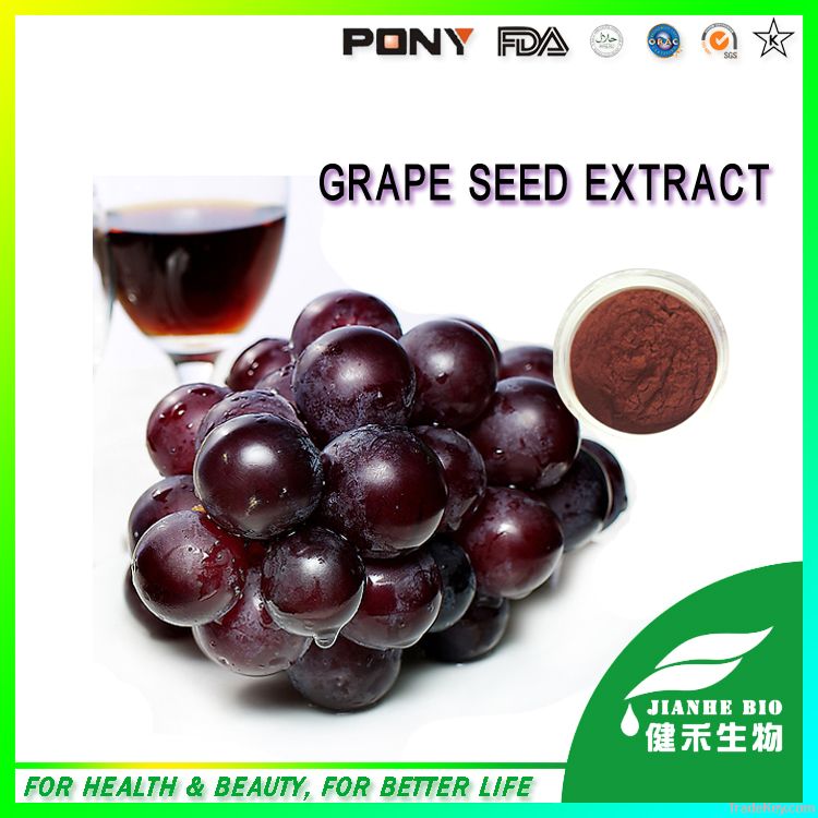 Supply 100% natural Grape Seed Extract OPC 95%, Polyphenol 90%