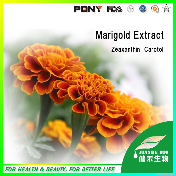 Natural Marigold Extract Lutein powder oil beadlets in bulk