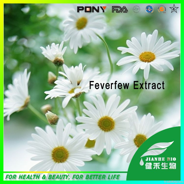 Natural Feverfew Extract parthenolide0.8%, 1.2% in bulk