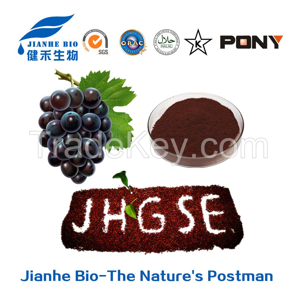 Wholesale Price Water Soluble Grape Seed Extract OPC 98% Polyphenol 80%