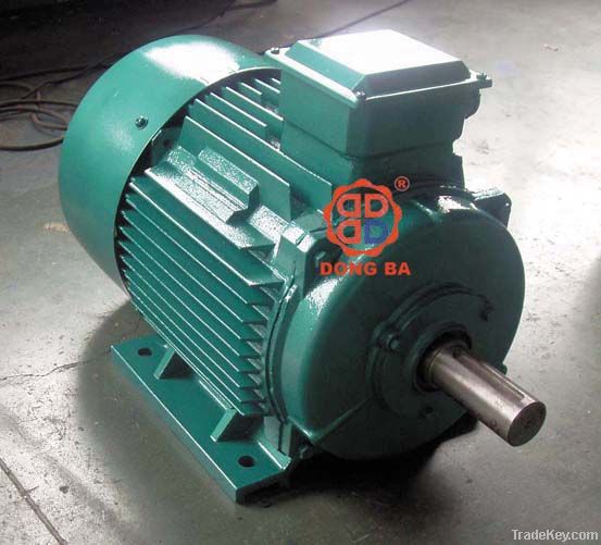 AC Y2 Electrical Motor