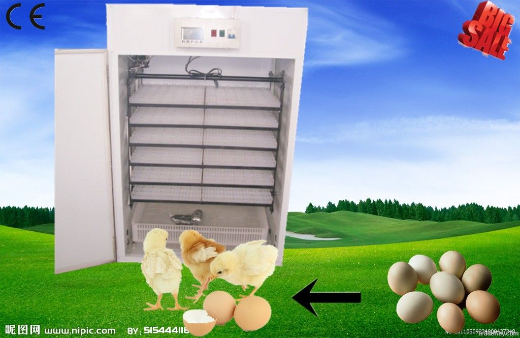 Full Automatic Eggs Incubator for Sale(YZITE-10)