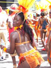 Trinidad Carnival DVD