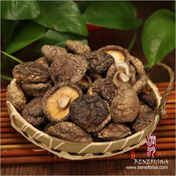 Dried Mushrooms Of Various Sorts