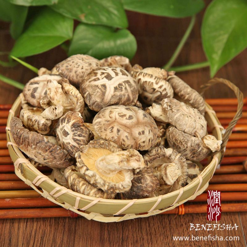 Dried Mushrooms Of Various Sorts