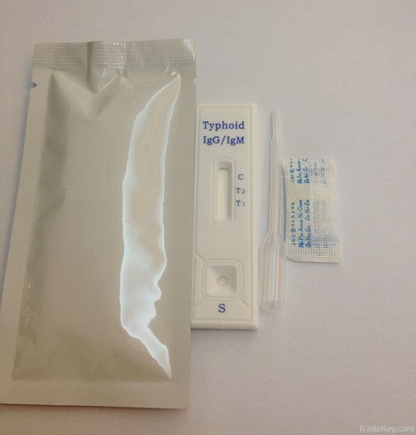 One-step typhoid rapid test