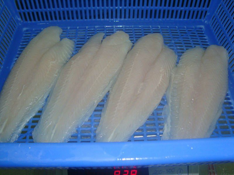 WELL-TRIMMED PANGASIUS WHITE MEAT FILLET FROM ALO SEAFOOD CO.,