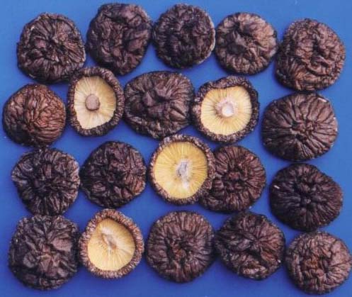 Dried Smooth Surface Mushrooms(shiitake)