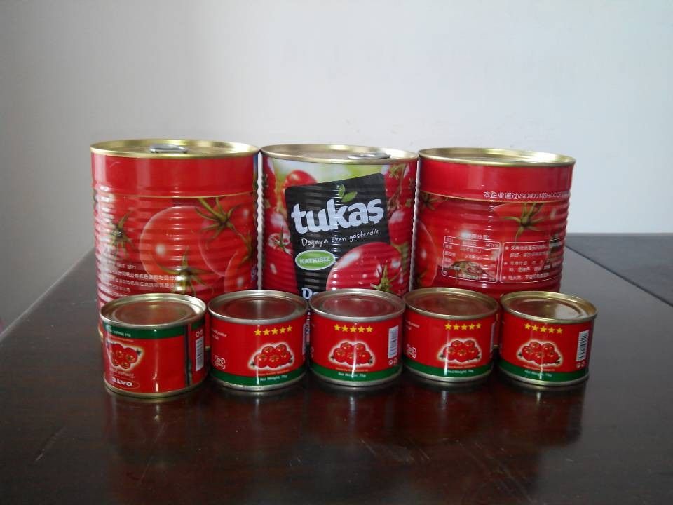 800g canned tomato paste