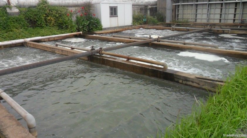 Industrial, municipal and living waste water treatment plant