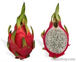 Dragon fruit