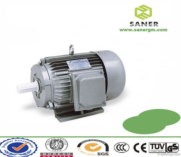 Y Series Three-Phase AC Electric Motor